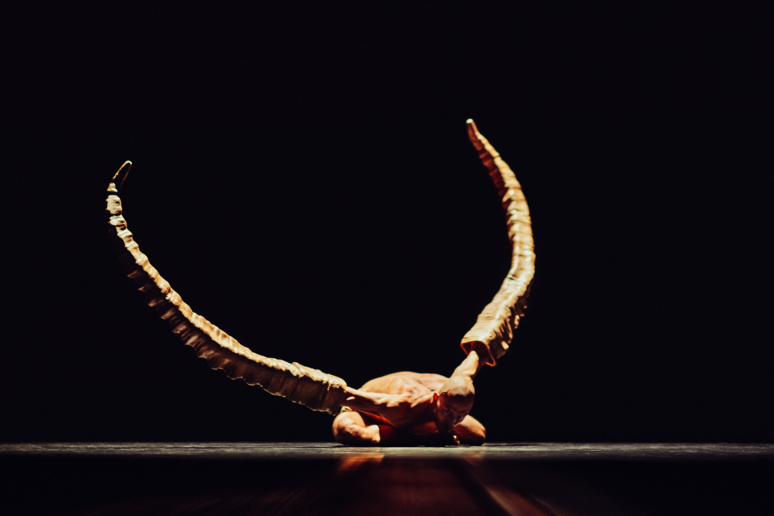 A dancer whose arms are encased in an almost skeletal suggestion of enormous wings is seated, their torso nearly touching the ground as they lean forward, wings curving upward and back against the black stage behind them.